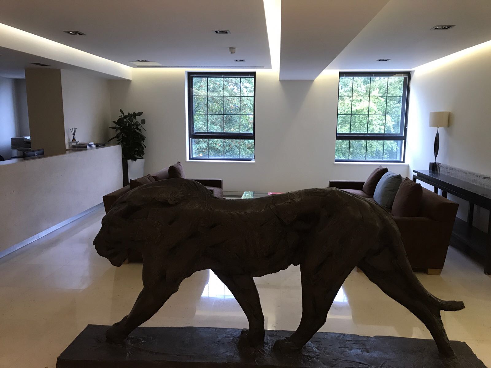 lion gallery 1